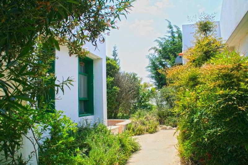 네브 샤롬 호텔 Neve Shalom 외부 사진
